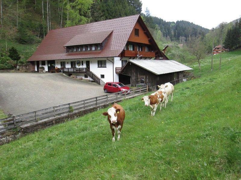 Appartement Hinterkimmighof à Oberharmersbach Extérieur photo